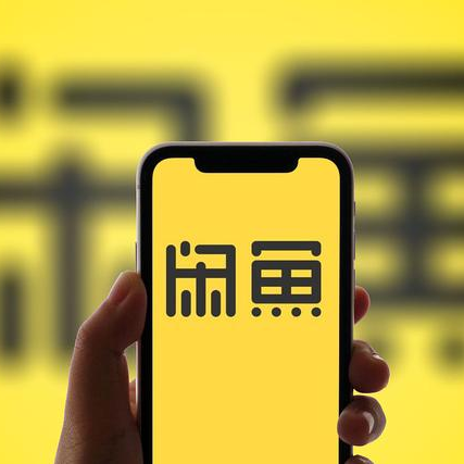 闲鱼平台乱价
